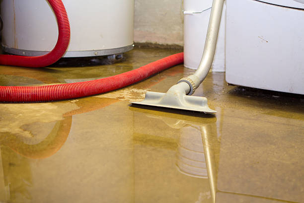 Best Water damage restoration near me  in Ballard, UT