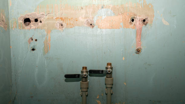 Best Ceiling water damage repair  in Ballard, UT