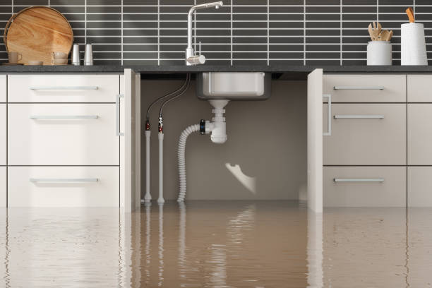 Best Basement water damage restoration  in Ballard, UT