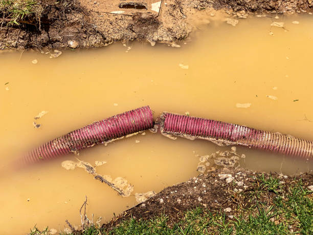Water damage restoration mold remediation in UT